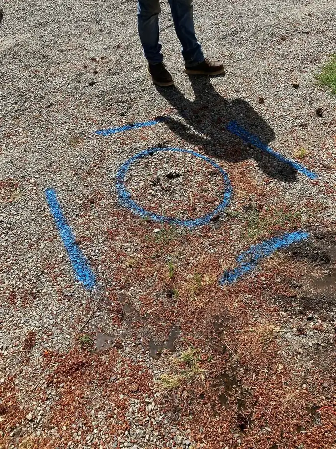 Utility locate marks before sewer line work by Andy's Plumbing & Drain