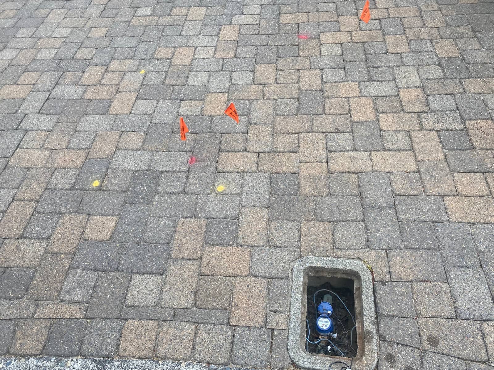 Utility locate flags and paint marking buried lines on a paver driveway before excavation